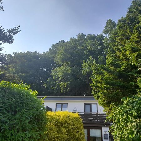 Apartment Am Waldrand 1 Person ,Gemuetlich, Nichtraucher Itzehoe Ngoại thất bức ảnh